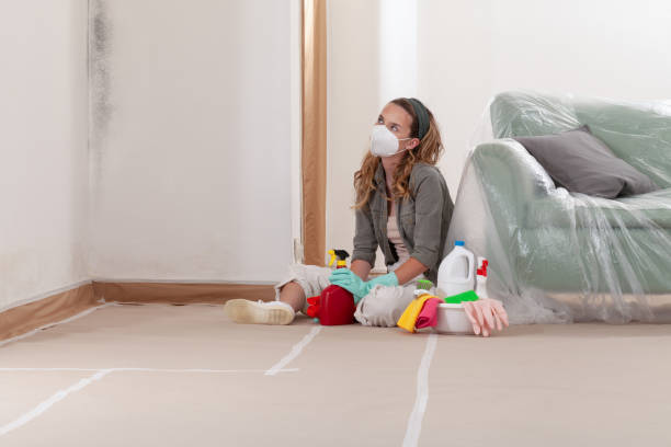 Reliable Mold Removal contractor in Graham, WA by WQB Mold Removal